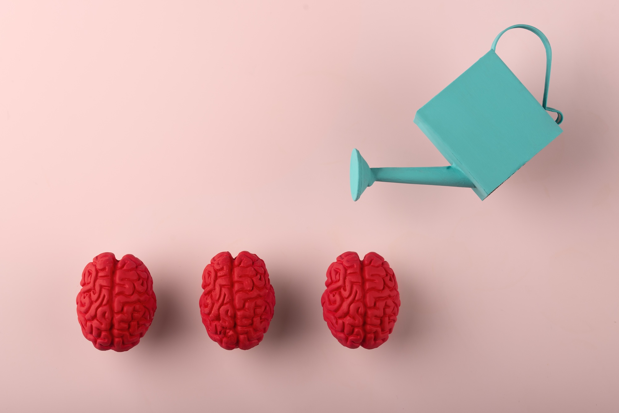 still-life-with-human-brains-watering-can